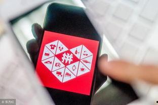 拼多多怎么买吃瓜网,吃瓜网好物一网打尽 第2张 拼多多怎么买吃瓜网,吃瓜网好物一网打尽 第2张