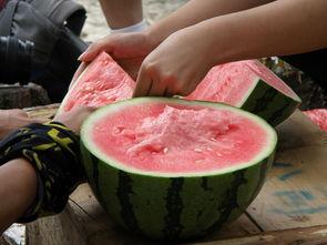 朝阳吃瓜官网首页,揭秘娱乐圈最新热点，带你畅游八卦海洋  第2张