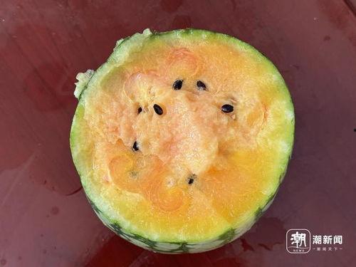 出吃瓜网  第1张