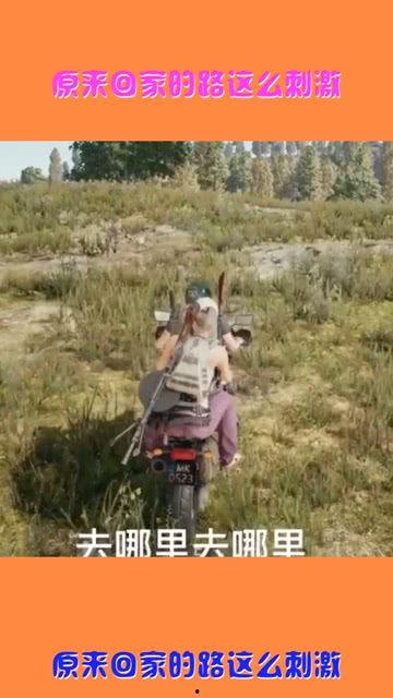 吃瓜网 回家的路,揭秘回家的路，探寻温馨归途背后的故事  第3张