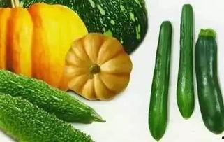 推荐一下吃瓜网