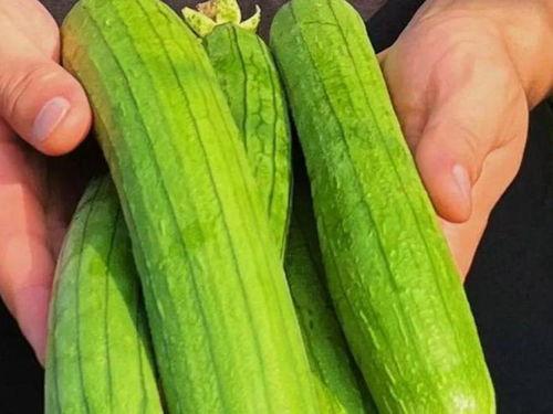 推荐一下吃瓜网  第3张