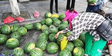 杭州网红打架吃瓜事件,网络暴力下的现实冲突  第1张