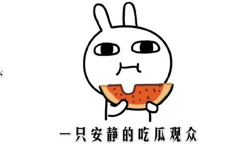 吃瓜事件小网红